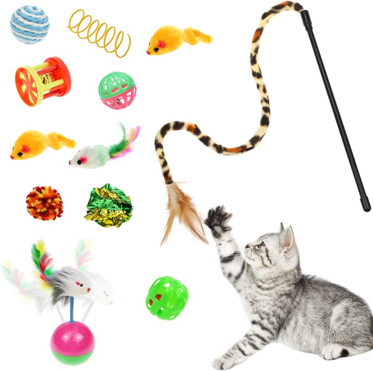 Cat Toys Amazon