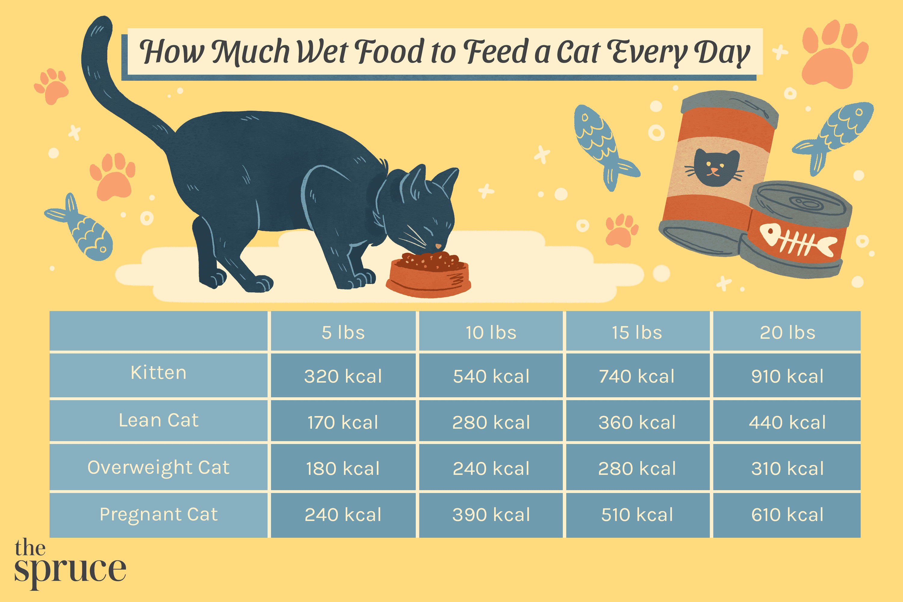 How Long Can Cat Food Sit Out